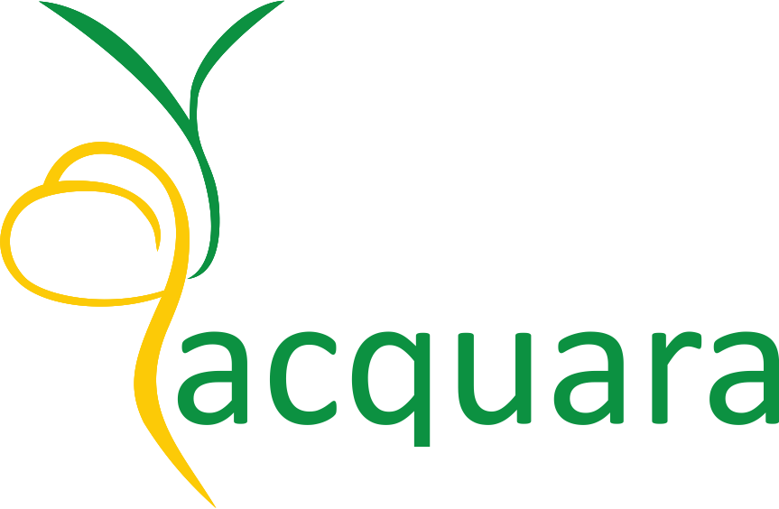 Acquara Management Consultant