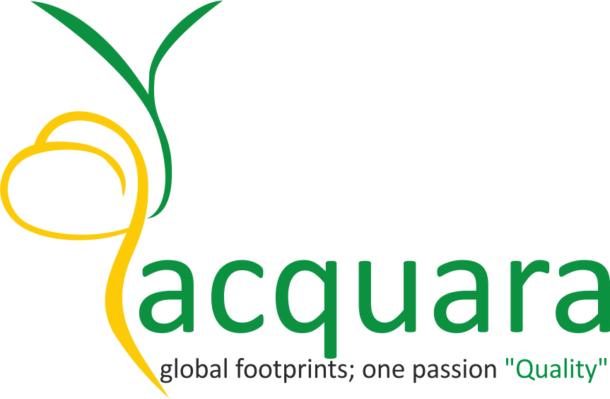 Acquara Management Consultant